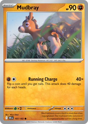 DRI-107-RH.png