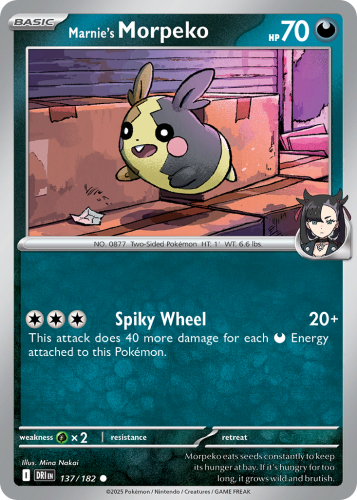DRI-137-RH.png