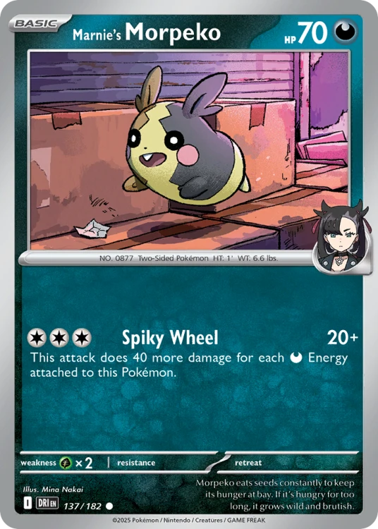 DRI-137-RH.png