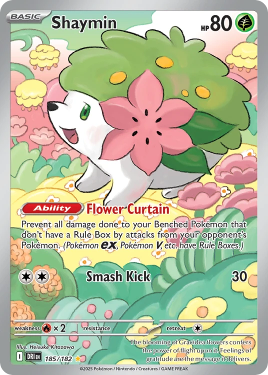 DRI-185-H.png
