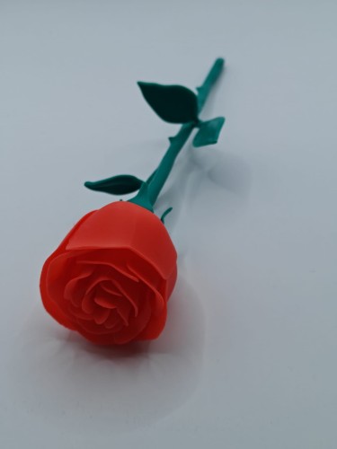 IMG20250513142333.jpg