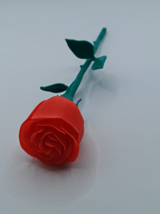IMG20250513142333.jpg