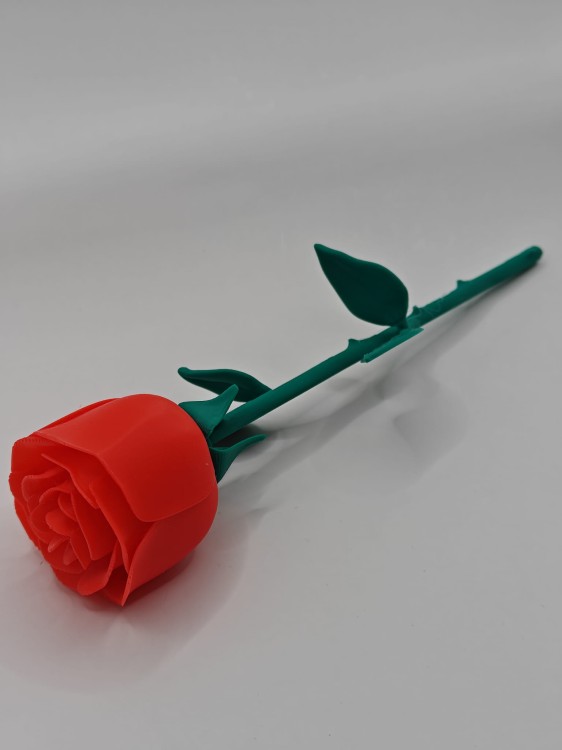 IMG20250513142344.jpg