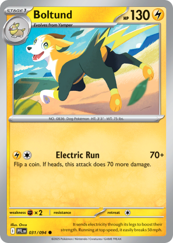 PFL-031-RH.png