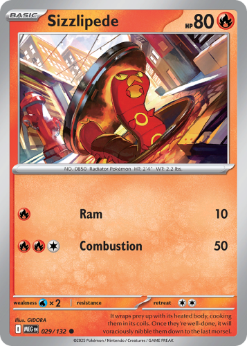 MEG-029-RH.png