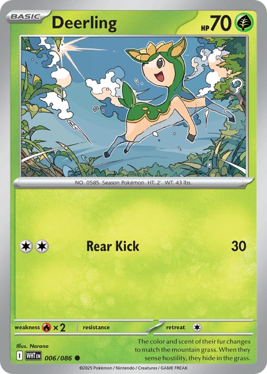 WHT-006-RH.png