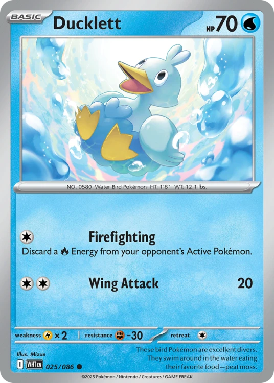 WHT-025-RH.png