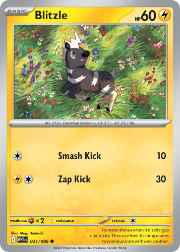 WHT-031-STD.png