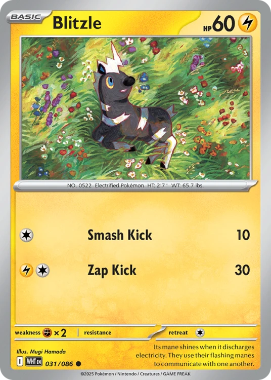 WHT-031-RHB.png