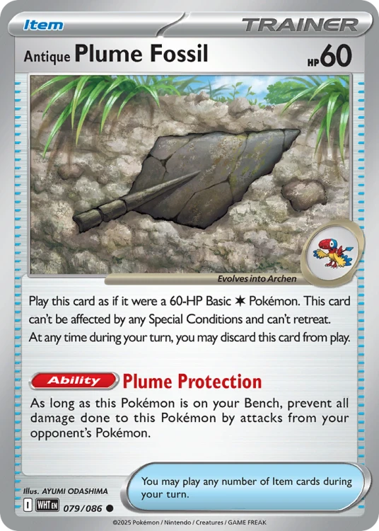 WHT-079-RHB.png