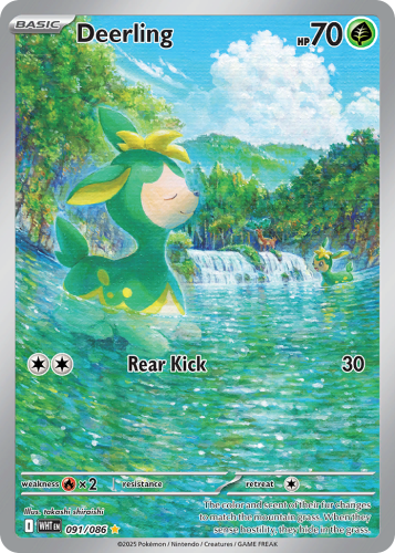 WHT-091-H.png