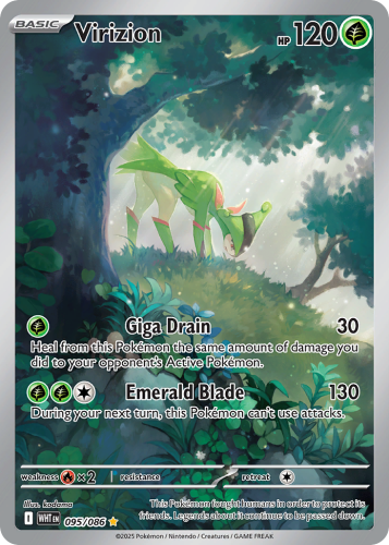 WHT-095-H.png