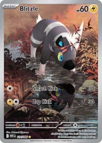 WHT-114-H.png
