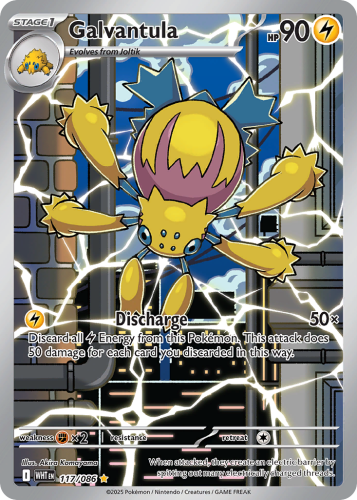 WHT-117-H.png