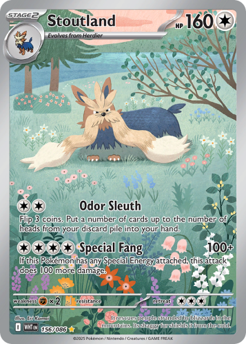 WHT-156-H.png