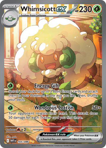 WHT-165-H.png