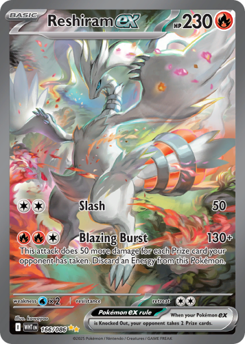 WHT-166-H.png