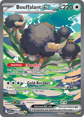 WHT-170-H.png