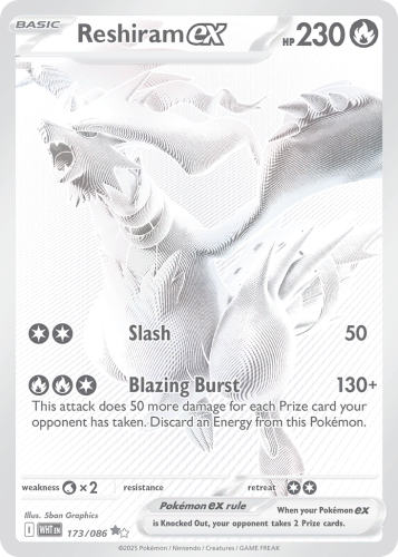 WHT-173-H.png