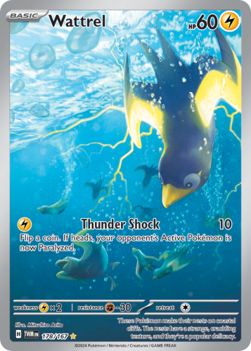 TWM-178-H.png