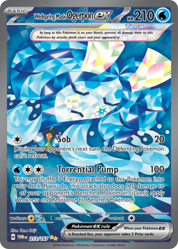 TWM-213-H.png