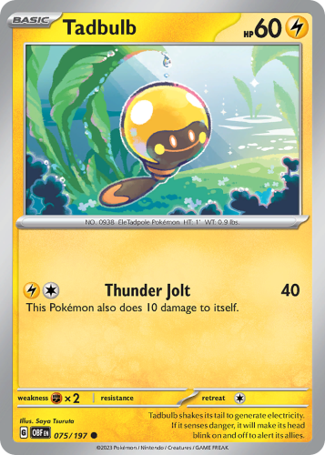 OBF-075-STD.png