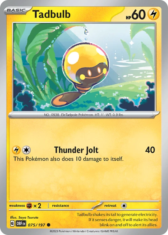 OBF-075-STD.png
