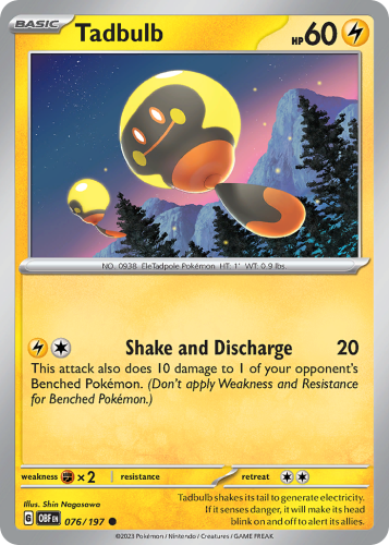 OBF-076-STD.png