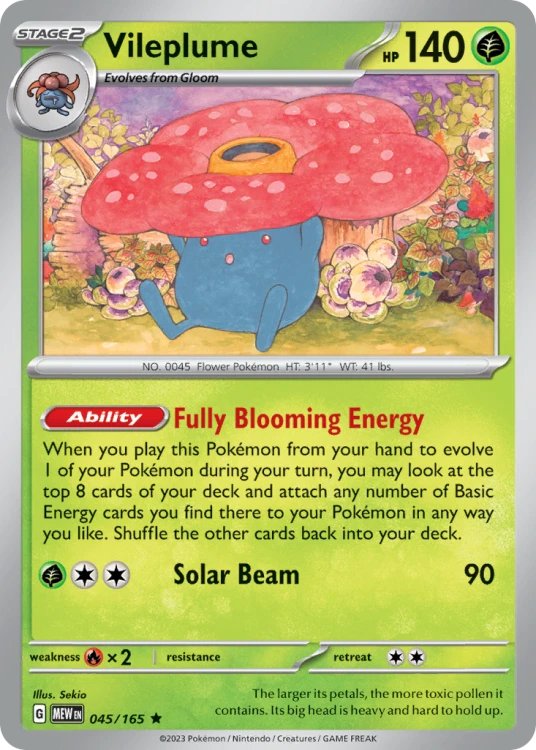 MEW-045-RH.png