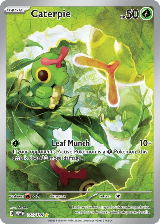 MEW-172-H.png