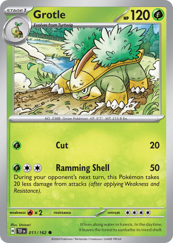 TEF-011-STD.png