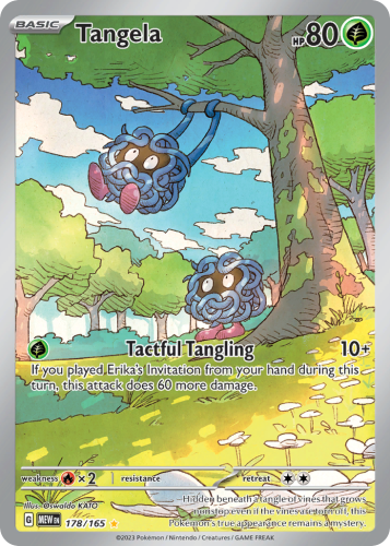 MEW-178-H.png