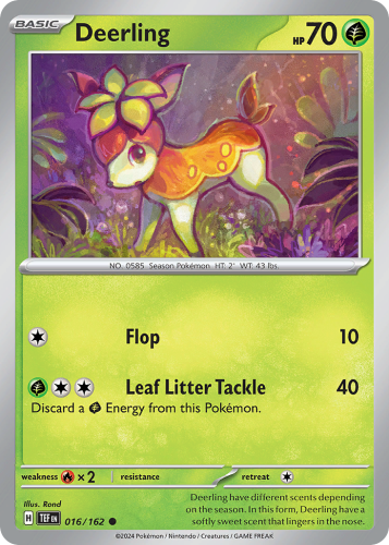TEF-016-RH.png