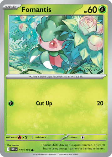 DRI-013-RH.png